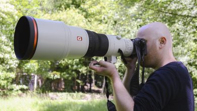 سوني تطلق عدسة FE 200-600mm وعدسة FE 600mm لتصوير الطبيعة
